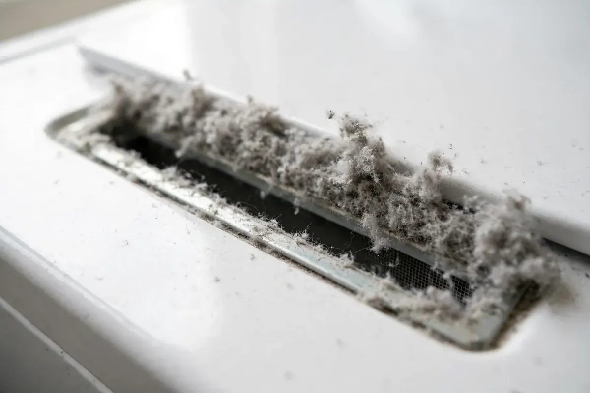 Gray lint packed around the dryer lint trap housing