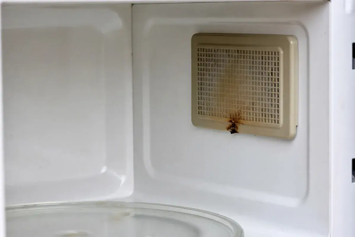 Beige waveguide cover inside a microwave with a brown scorch mark